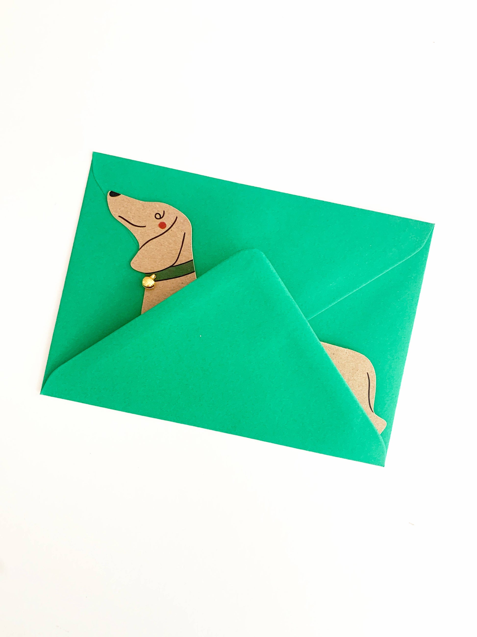 Green envelope with a dog illustration on a white background