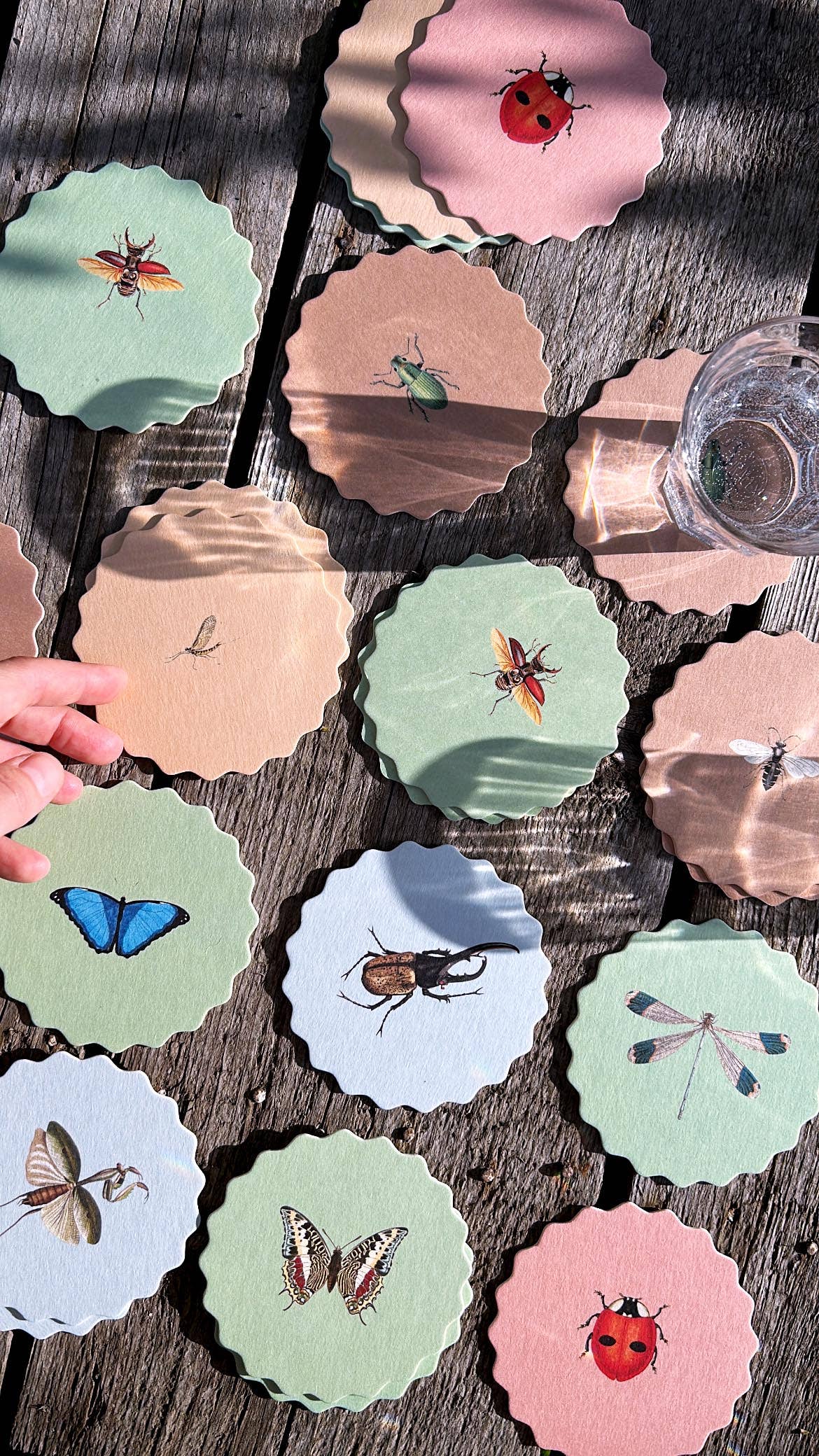 Posavasos – Insectos 🐞🐝🪲