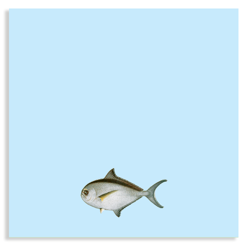 Blocs de notas – 10x10cm