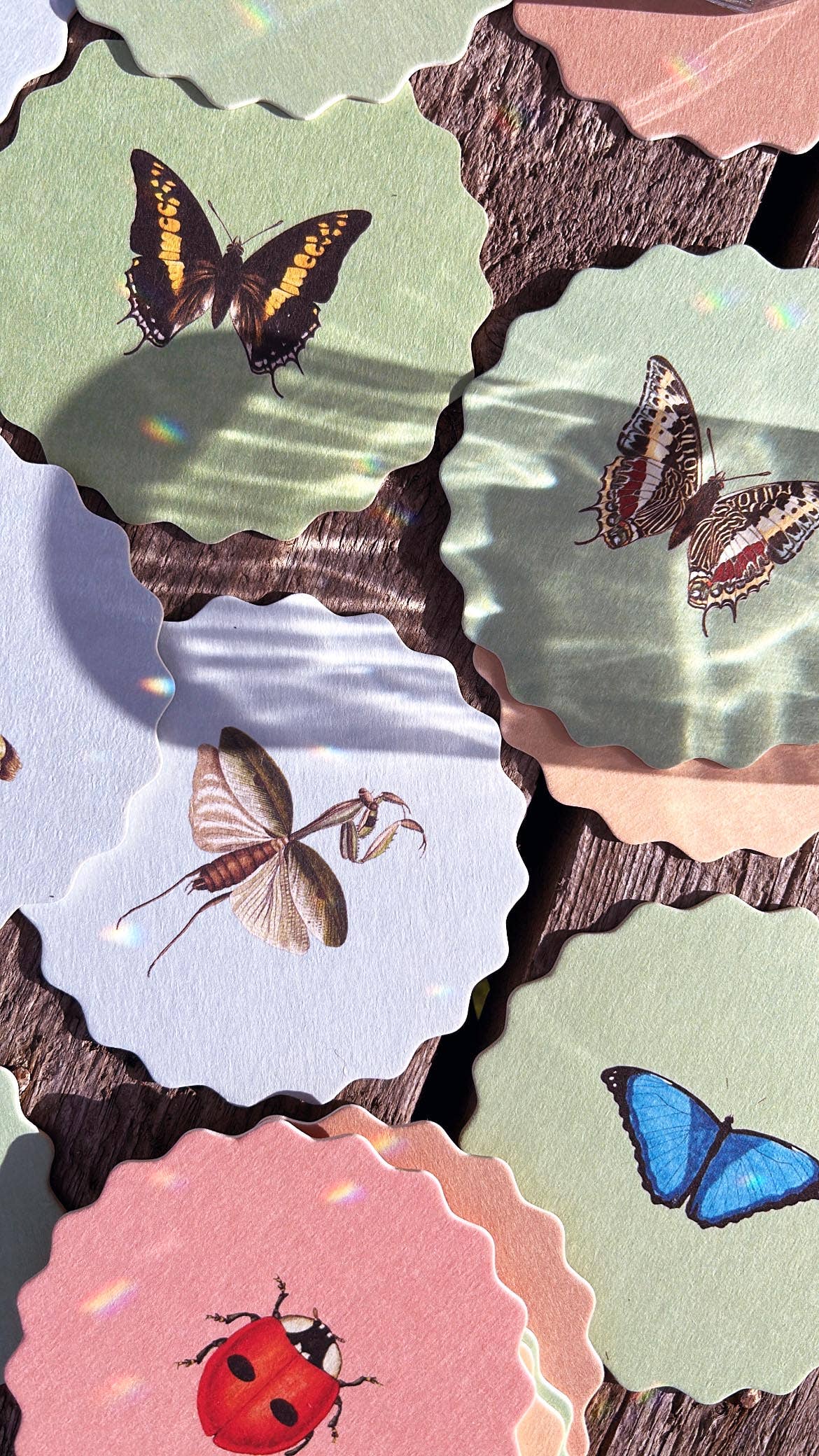 Posavasos – Insectos 🐞🐝🪲