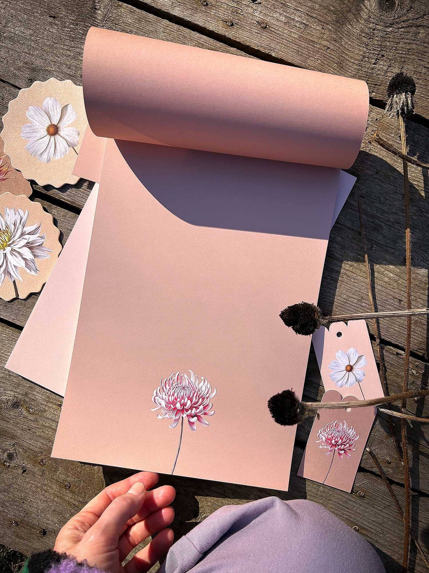 Bloc de notas – Crisantemo A4