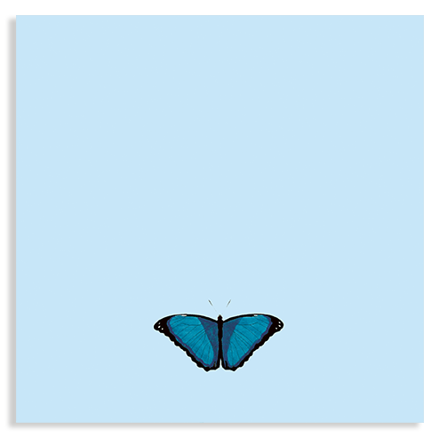 Blocs de notas – 10x10cm