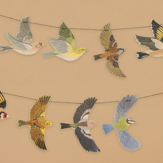 Illustrations of various birds on a beige background