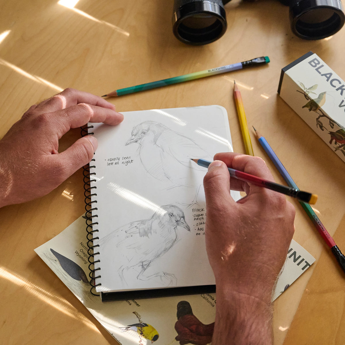 Blackwing Vol. 548 – Homenaje a la observación de aves