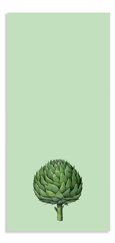 Blocs de notas – 21x10cms