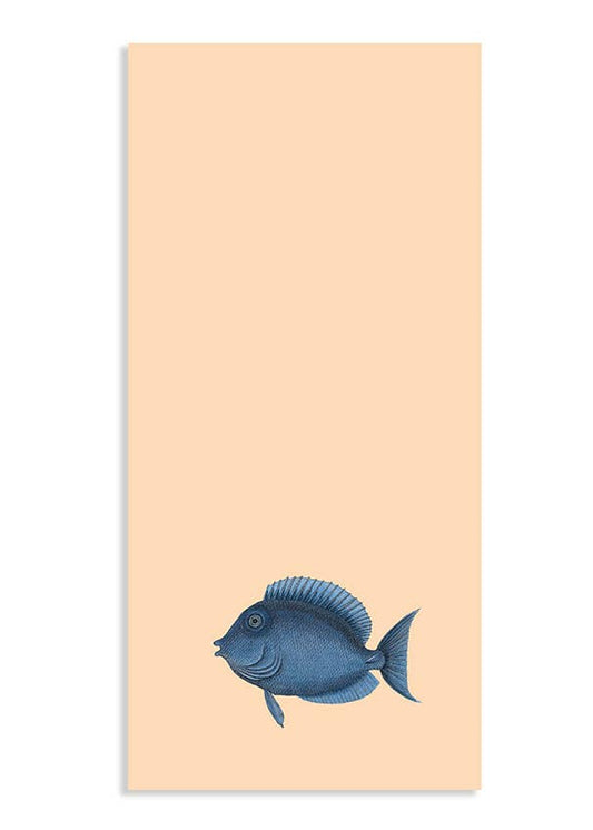 Blocs de notas – 21x10cms