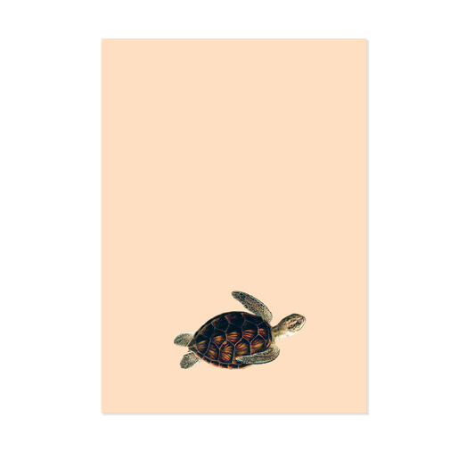 Blocs de notas – A5