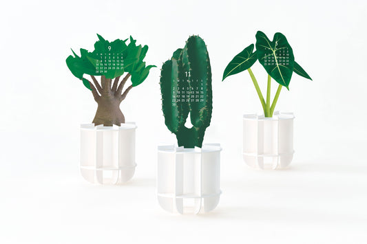 Plants