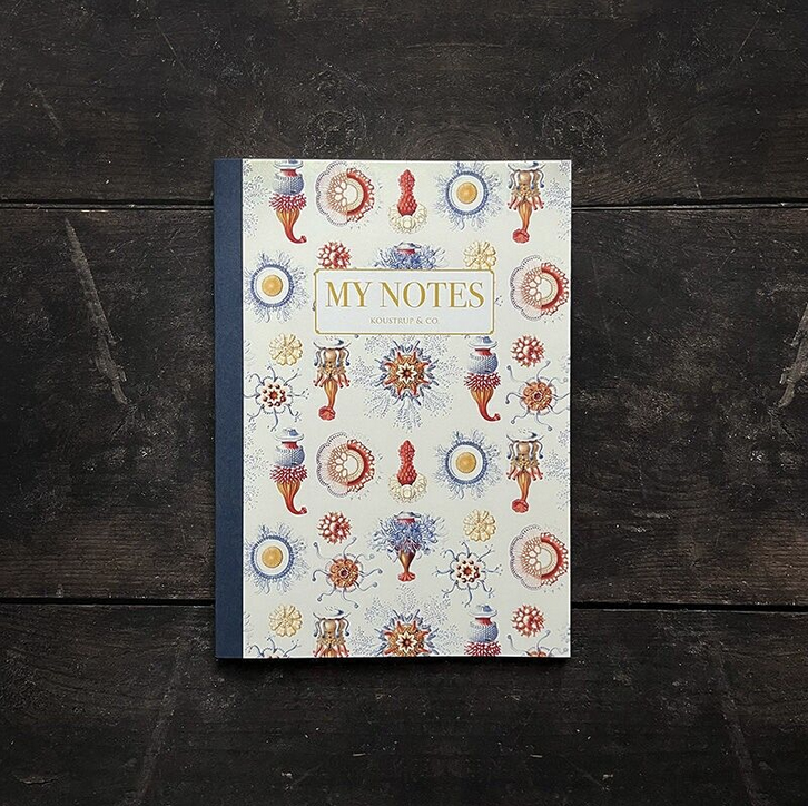 Libretas tapa blanda