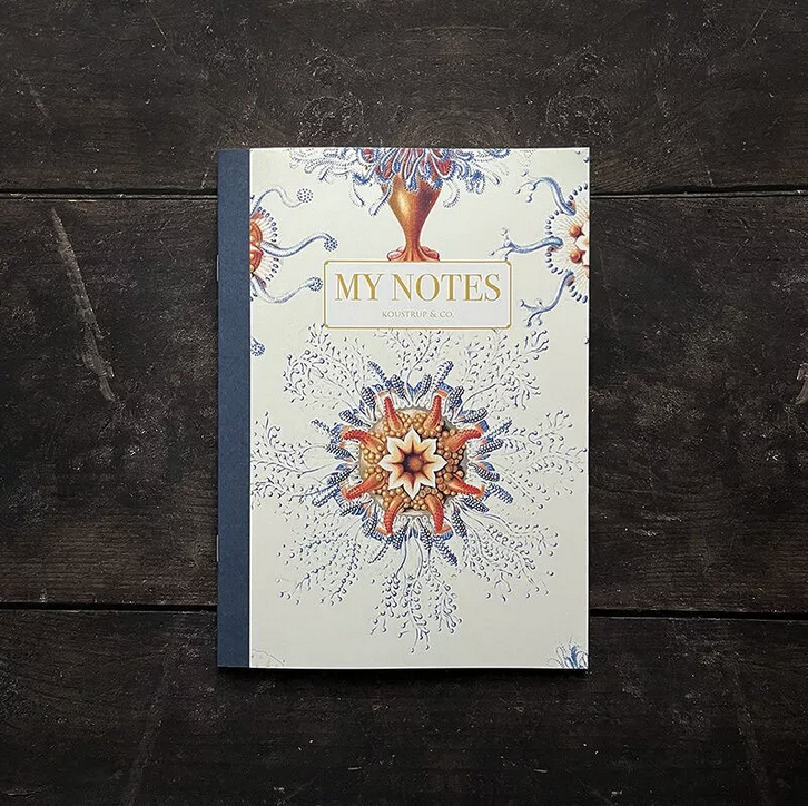 Libretas tapa blanda