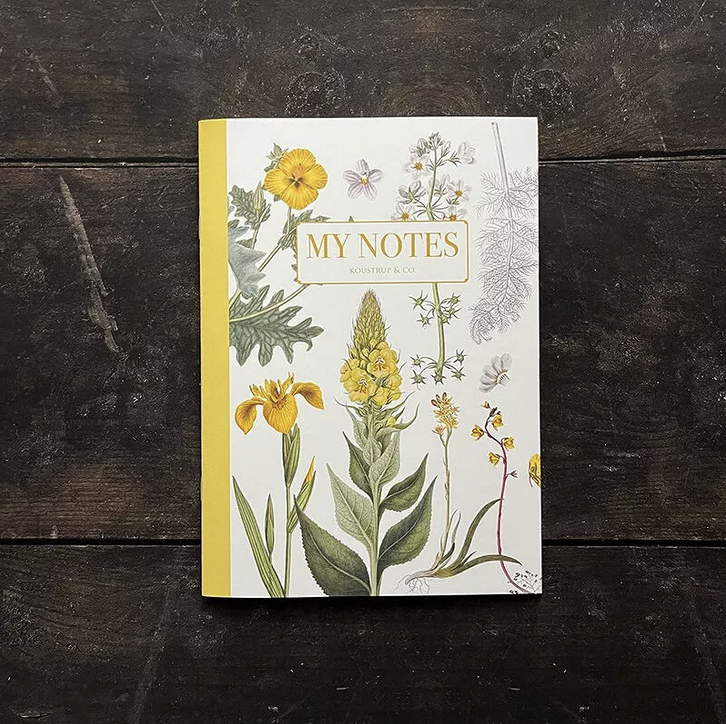 Libretas tapa blanda