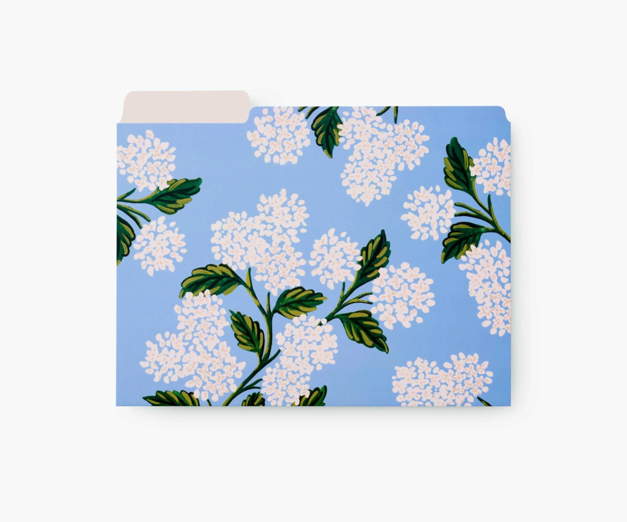 Carpetas Hydrangea (set 6)