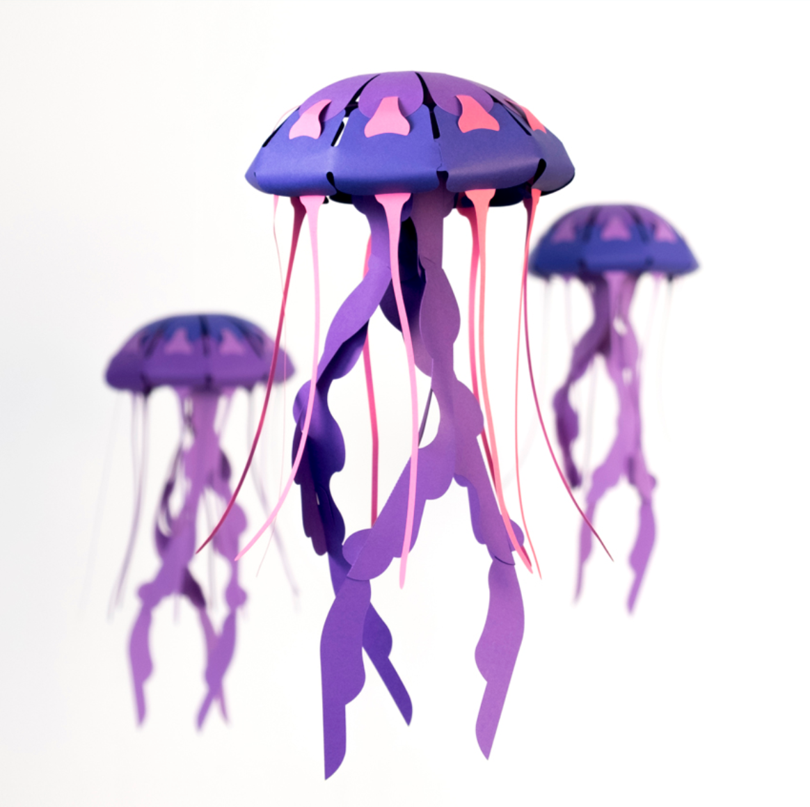 Medusa de compases