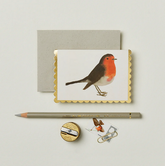Tarjeta mini Robin