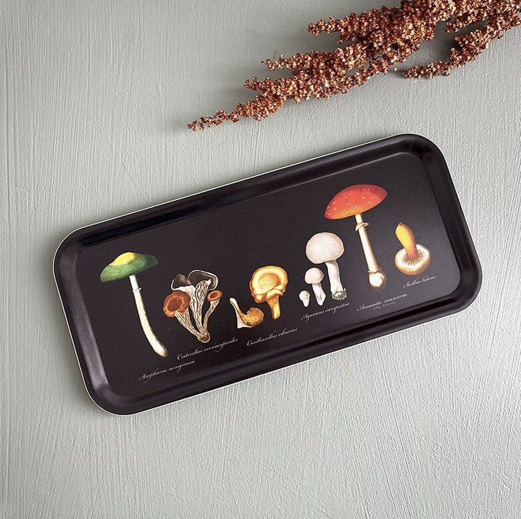 Bandeja Mushroom
