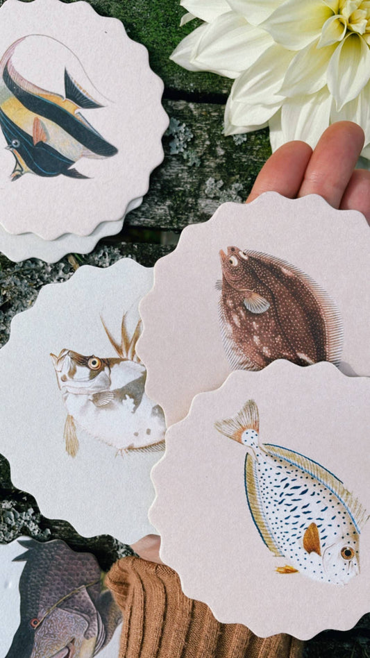 Posavasos – Peces