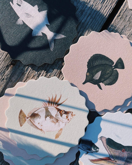 Posavasos – Peces