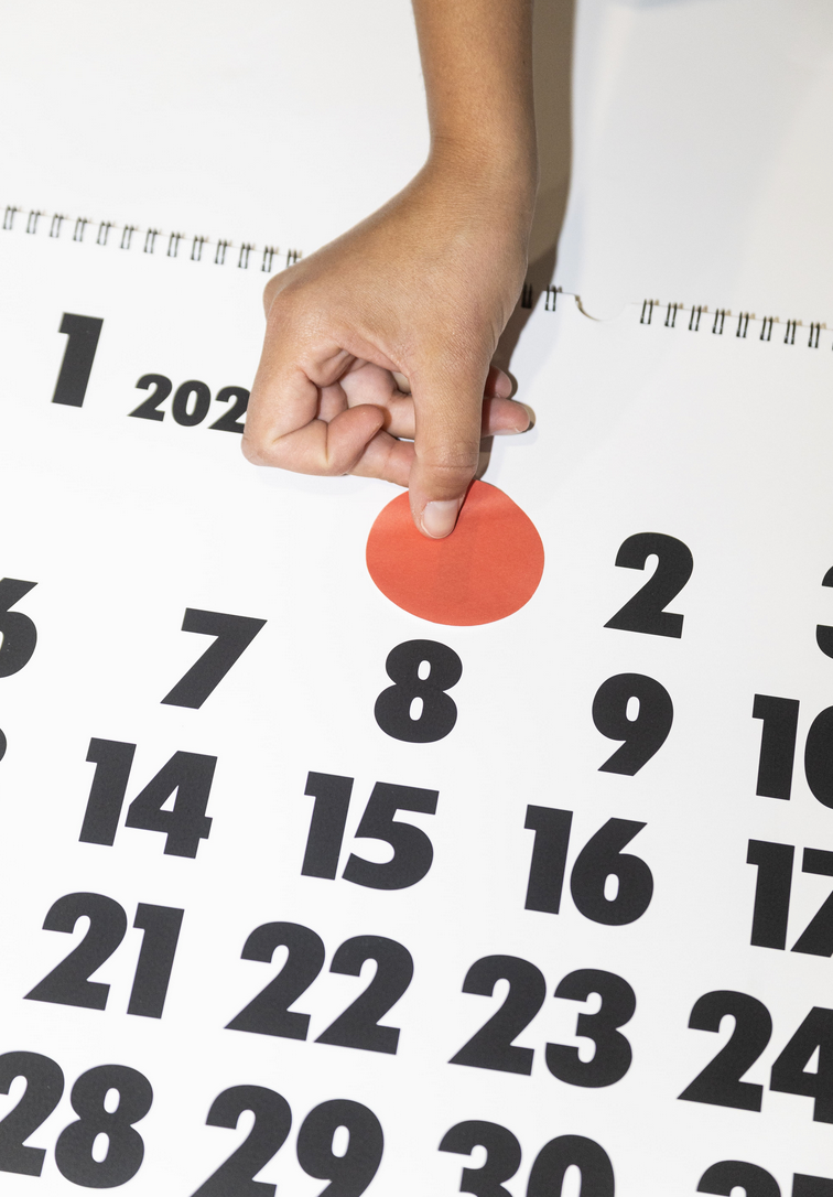 Calendario Vinçon (L)