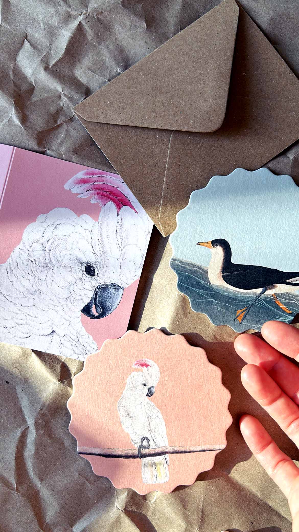 Posavasos – Pájaros 🦉🦜🐦