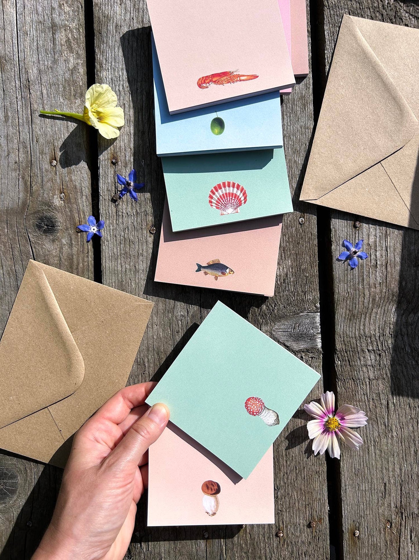 Blocs de notas – 10x10cm