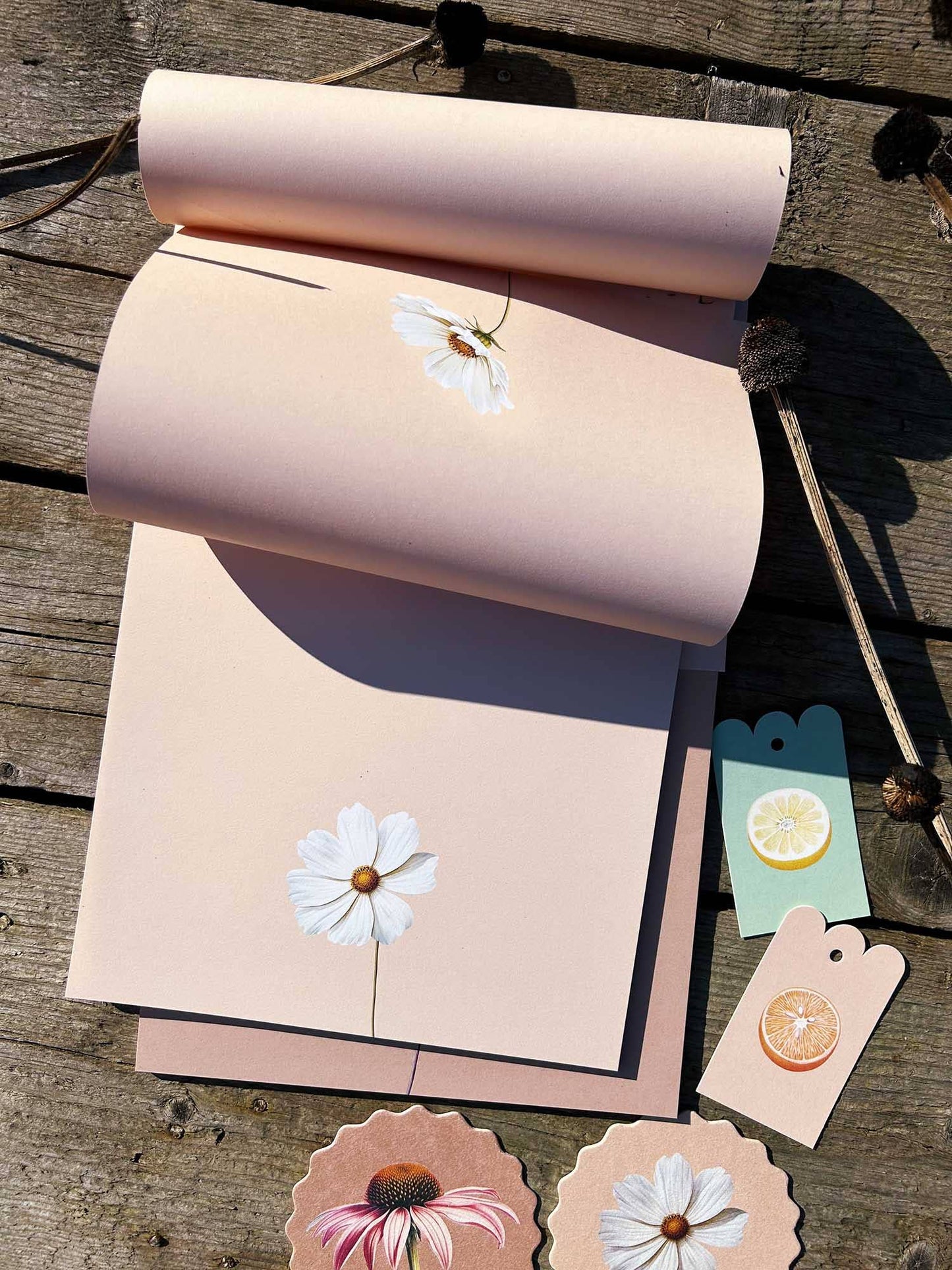 Bloc de notas – Cosmea A4