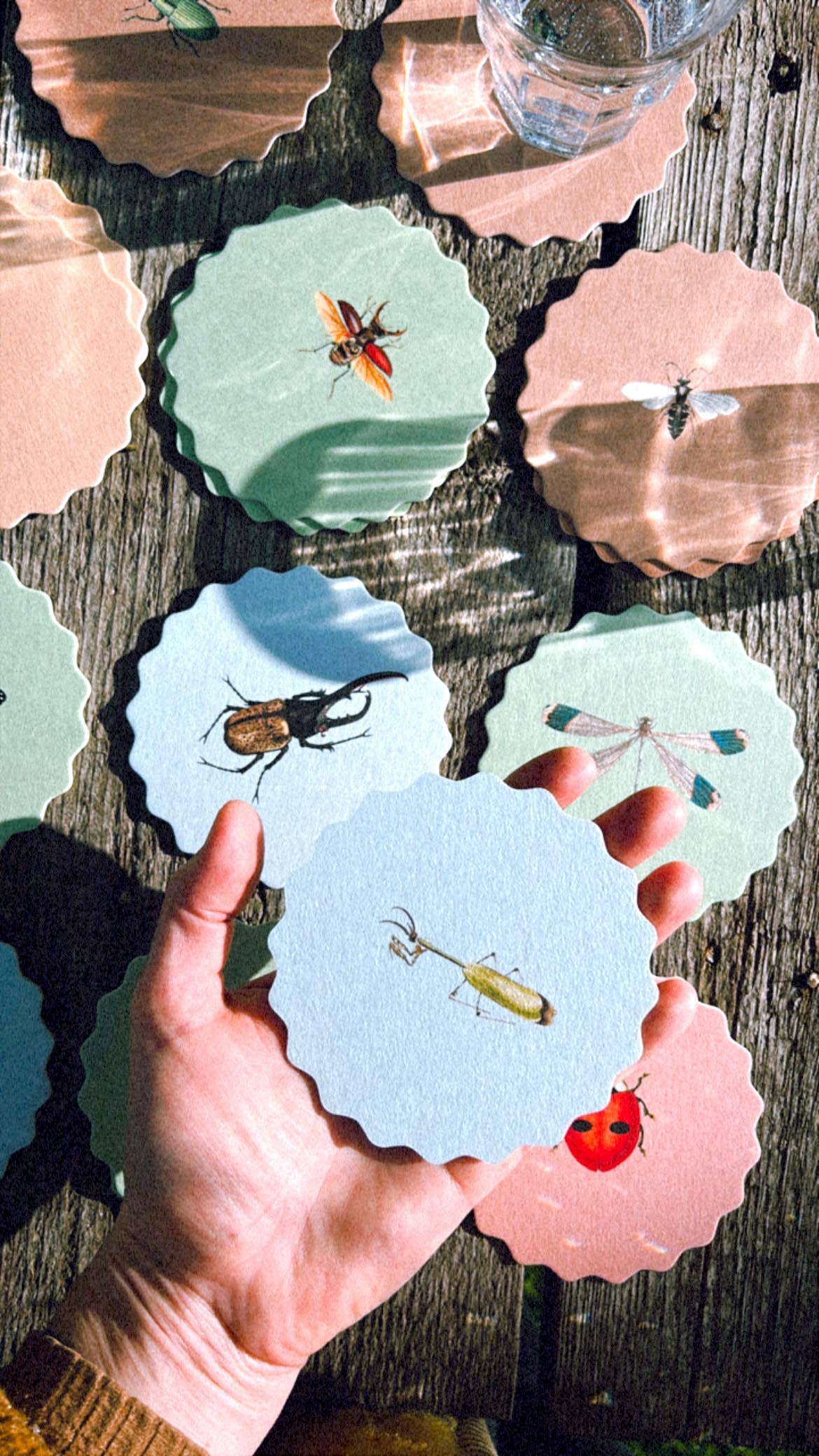 Posavasos – Insectos 🐞🐝🪲