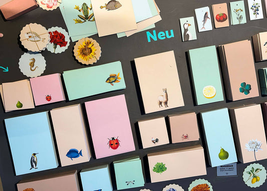 Blocs de notas – 21x10cms