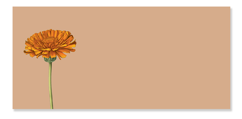 Blocs de notas – 10x21 cms