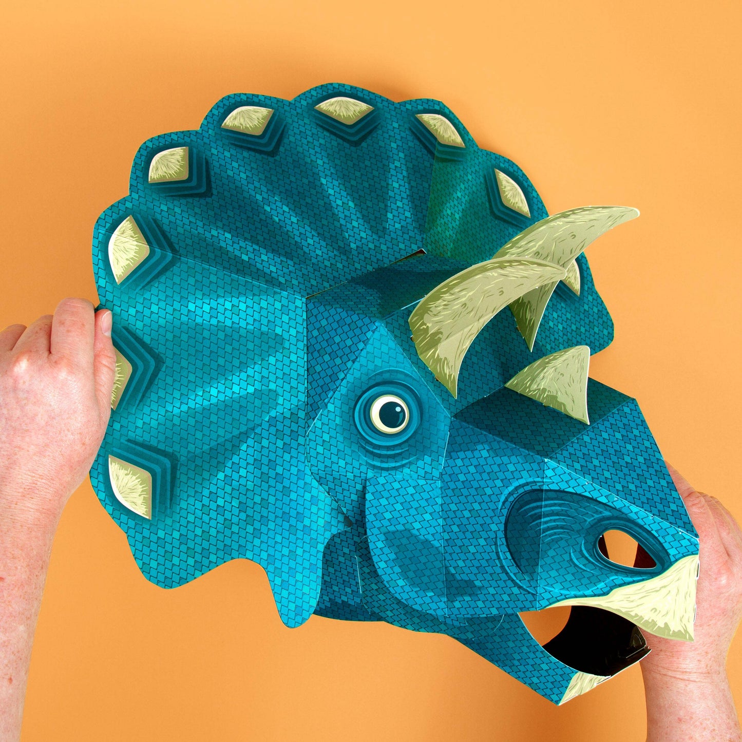 Cabeza de Triceratops
