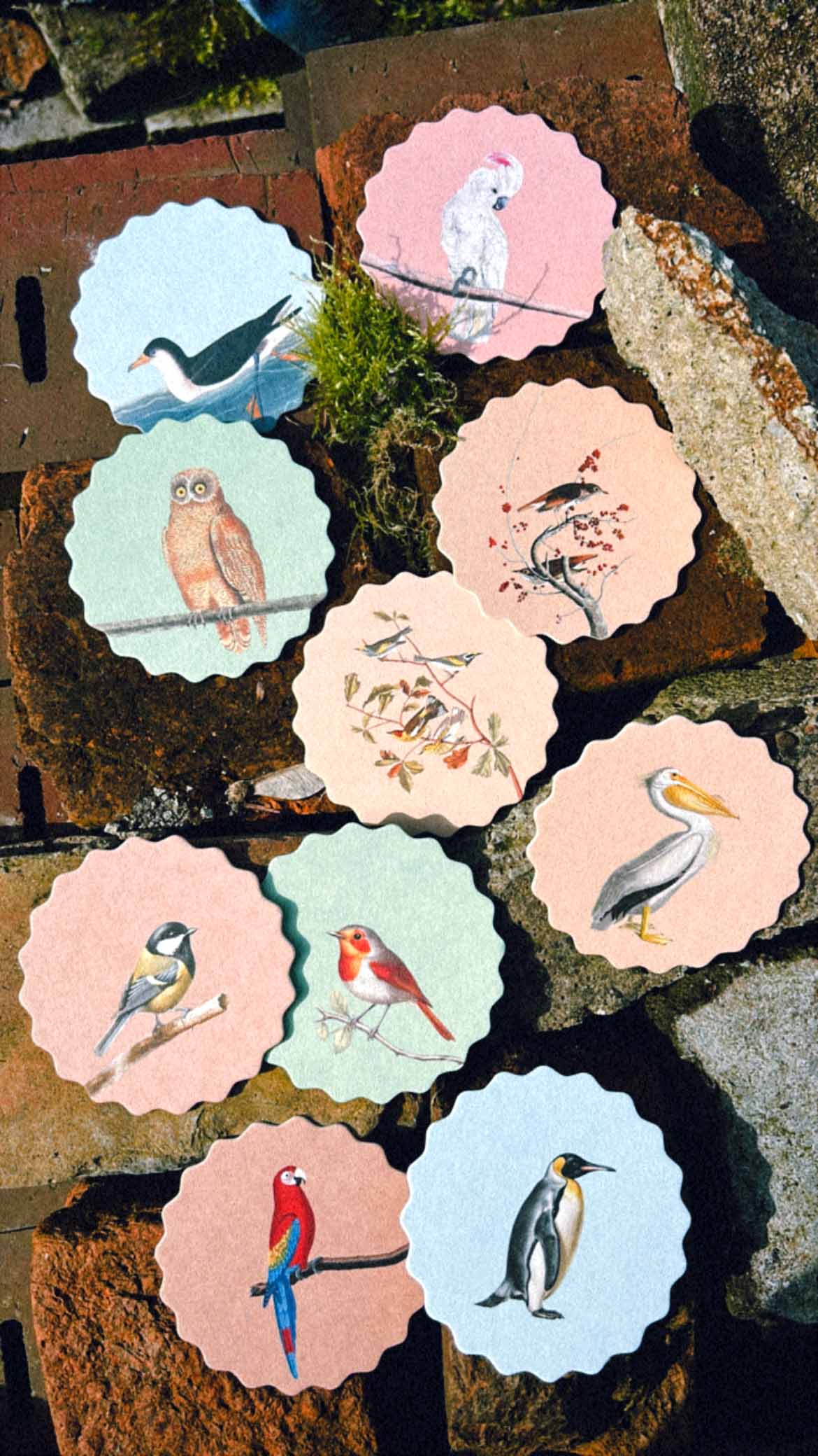 Posavasos – Pájaros 🦉🦜🐦