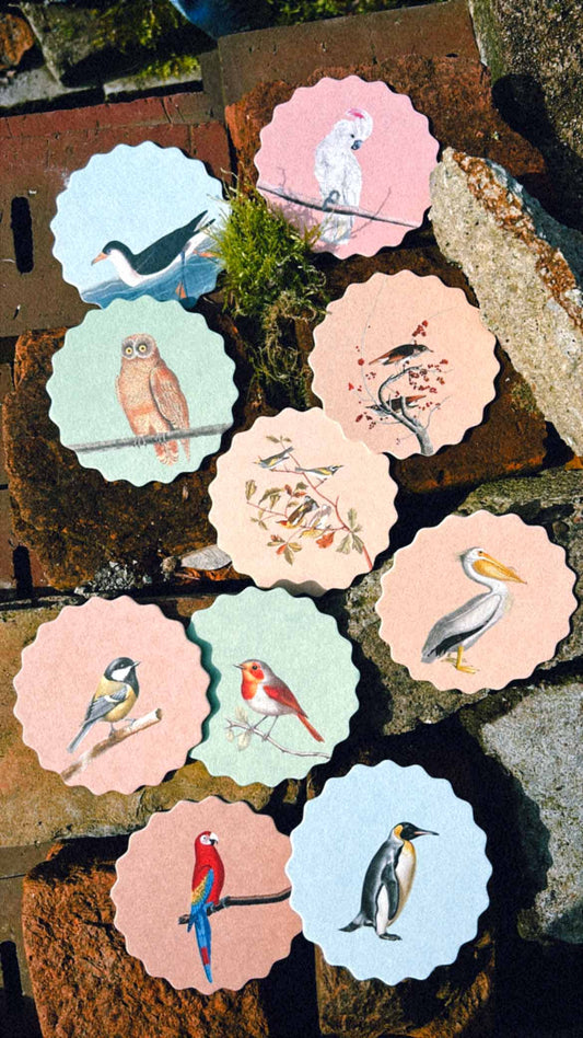 Posavasos – Pájaros 🦉🦜🐦