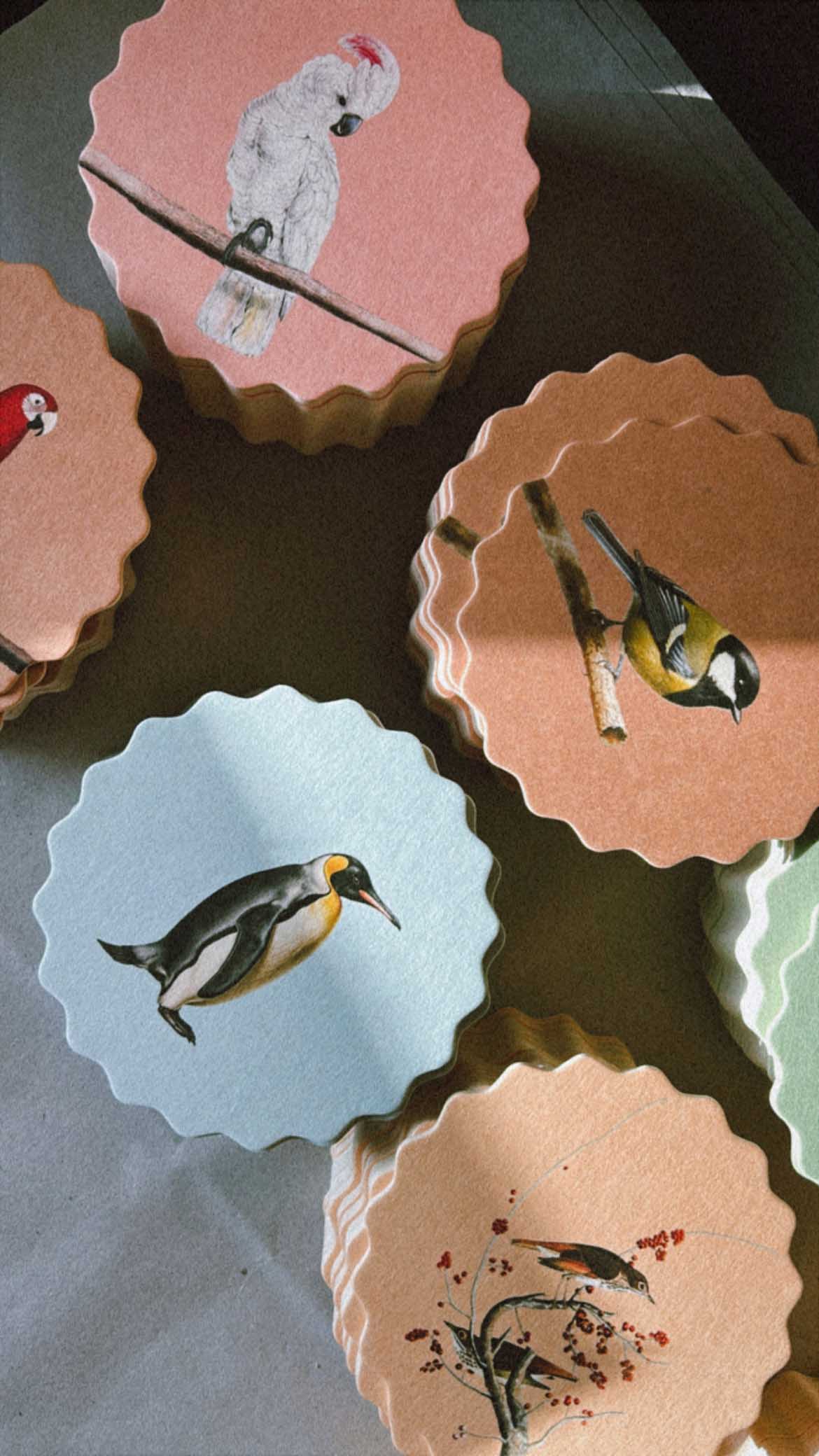 Posavasos – Pájaros 🦉🦜🐦