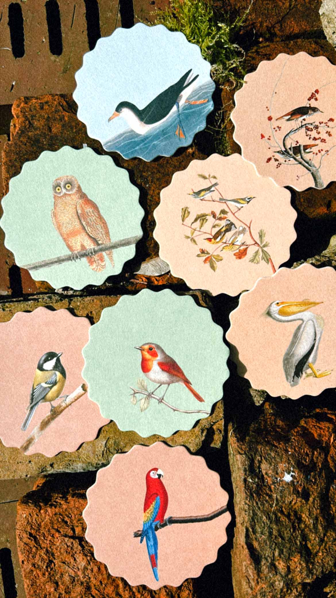 Posavasos – Pájaros 🦉🦜🐦