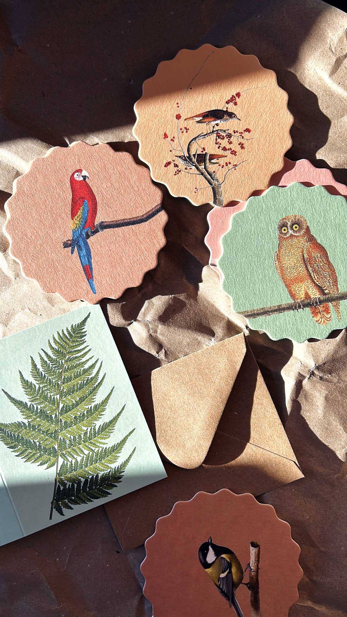 Posavasos – Pájaros 🦉🦜🐦