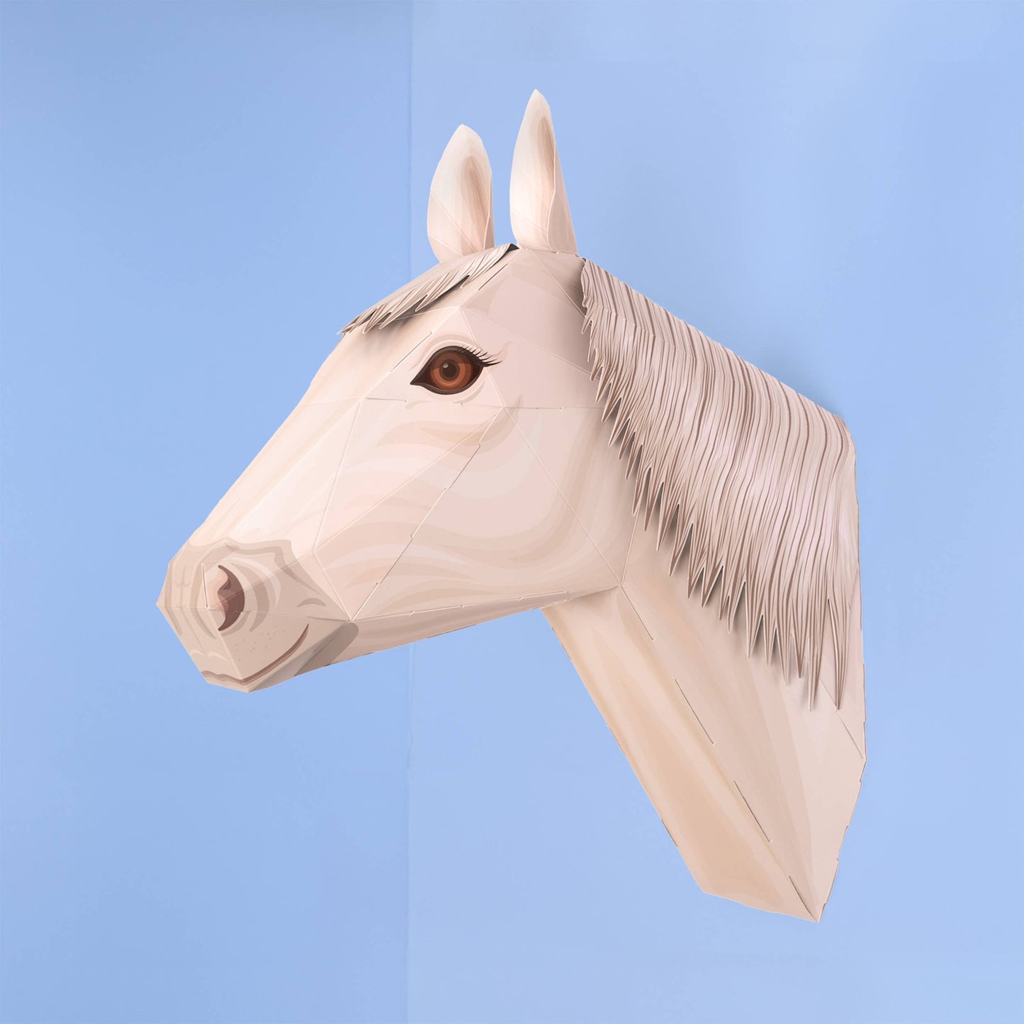 Cabeza de Caballo