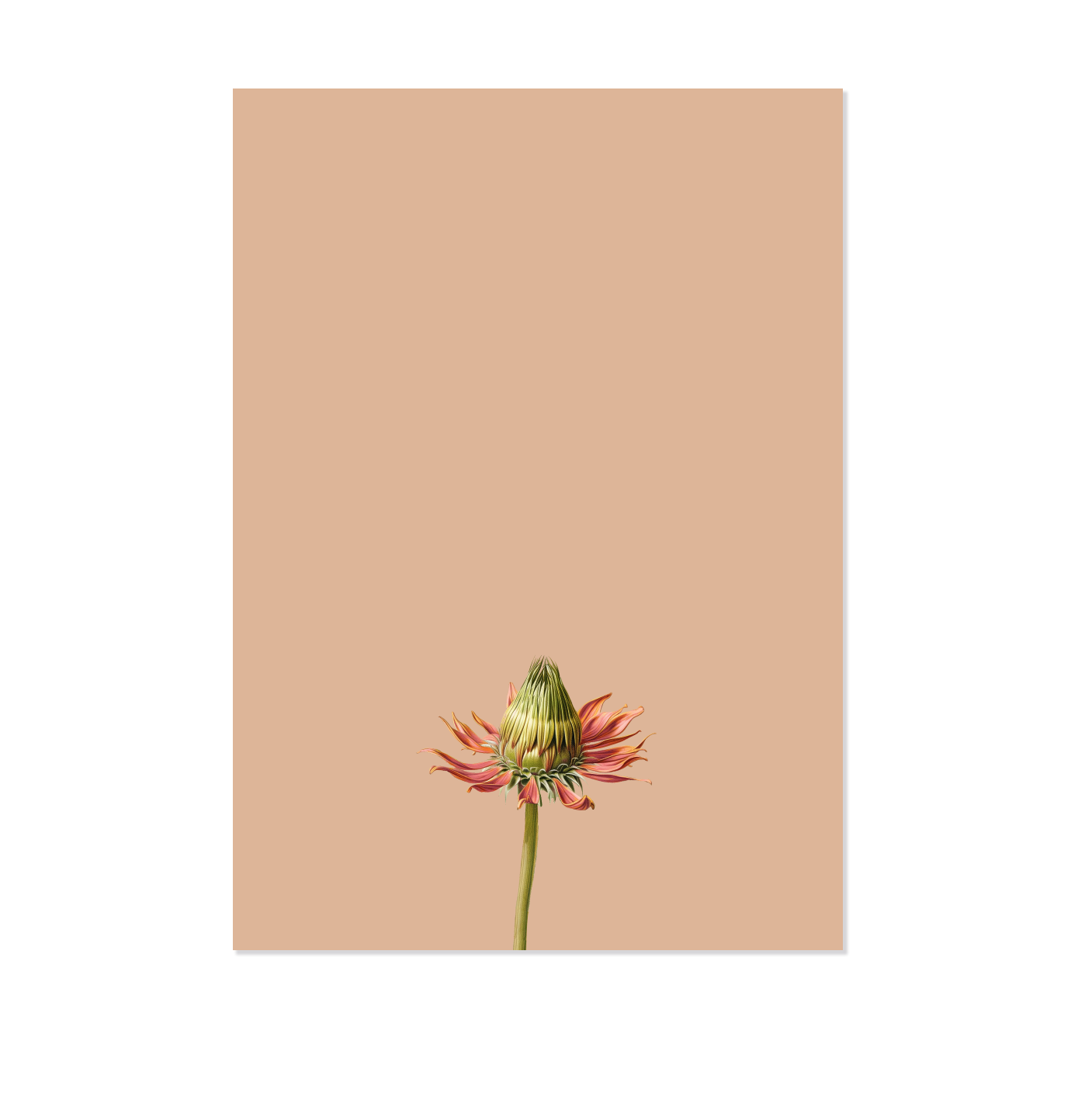 Blocs de notas – A5