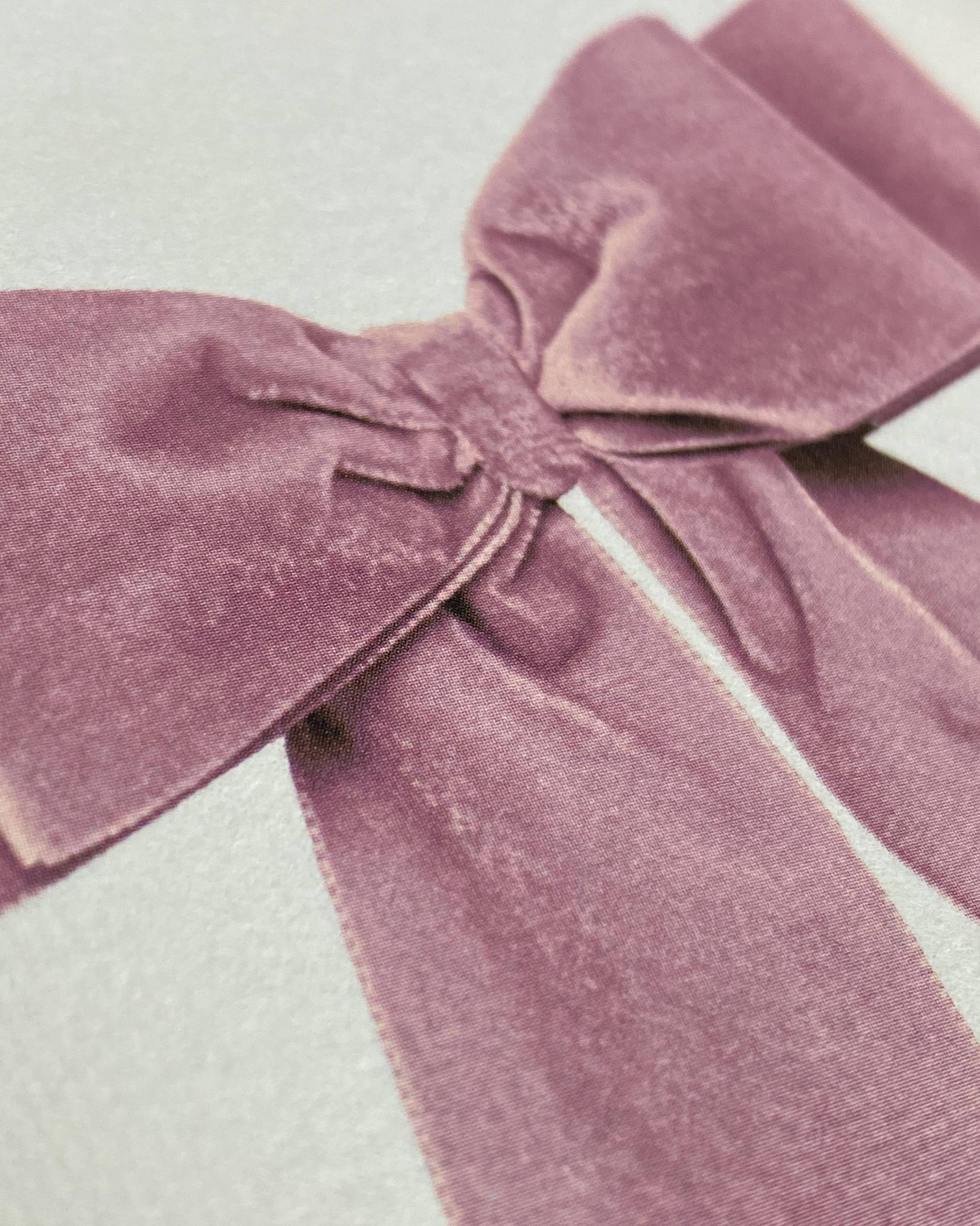 Close-up of a mauve velvet bow on a light background