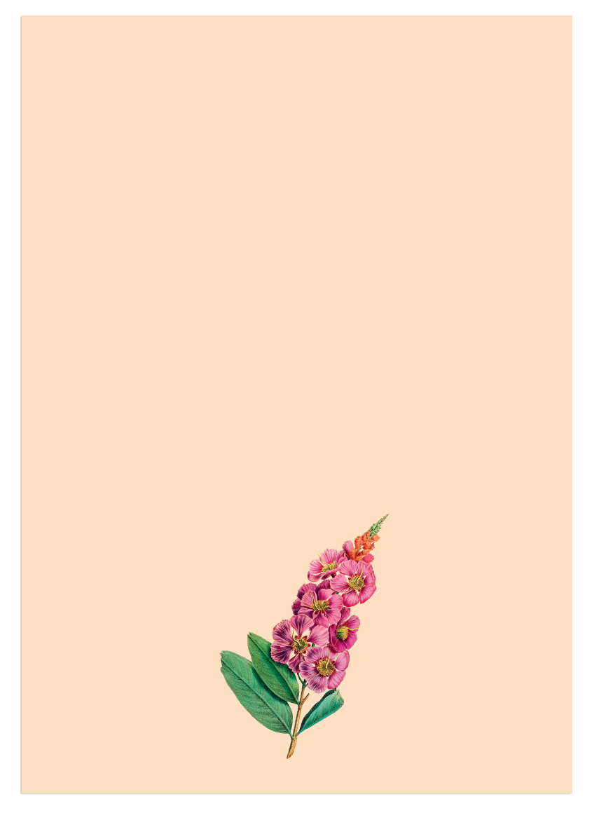 Blocs de notas – A5