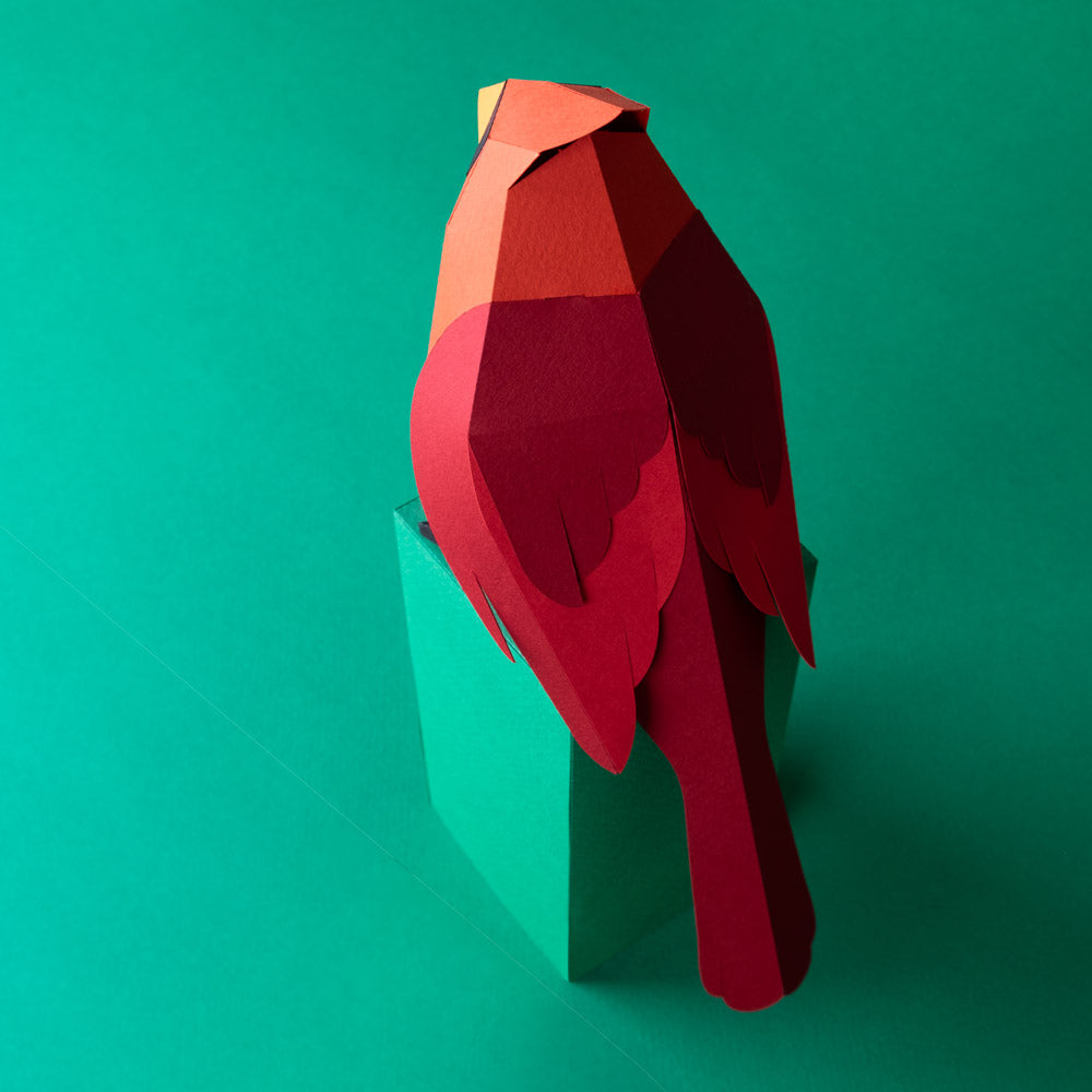 Pájaro Cardenal