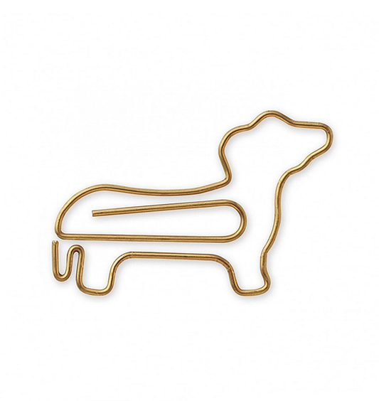 Dachshund
