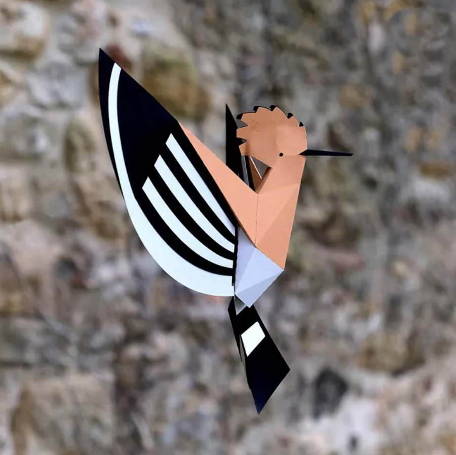 Pájaro Abubilla