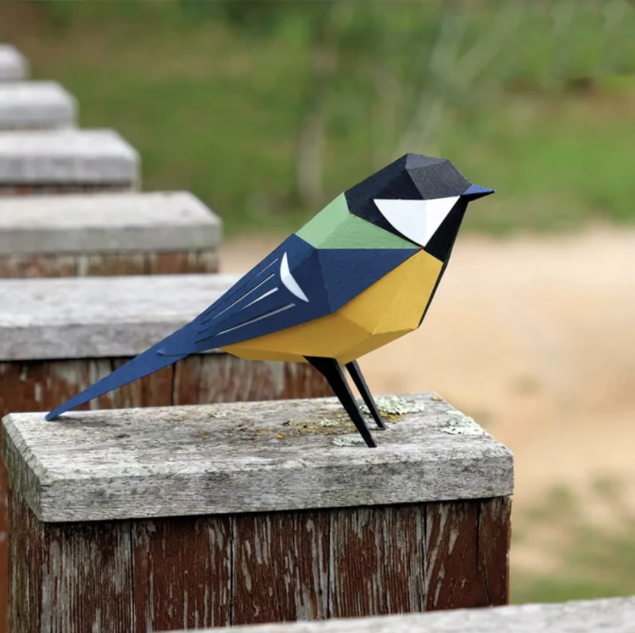 Pájaro Carbonero común