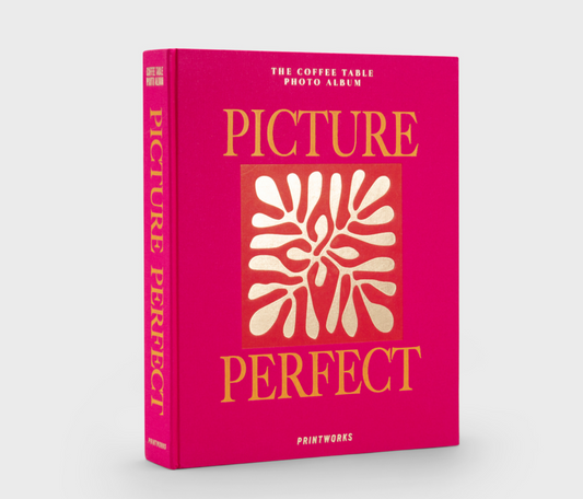 Álbum de fotos – Picture Perfect