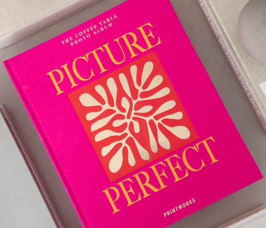 Álbum de fotos – Picture Perfect