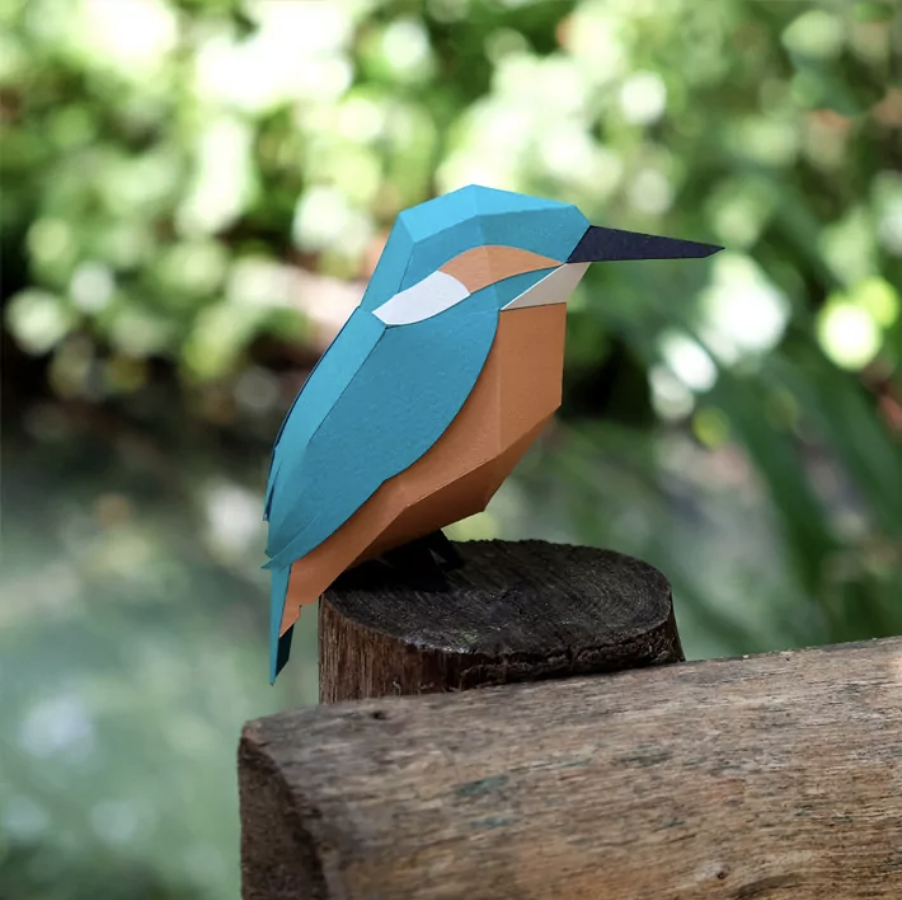 Pájaro Martín pescador