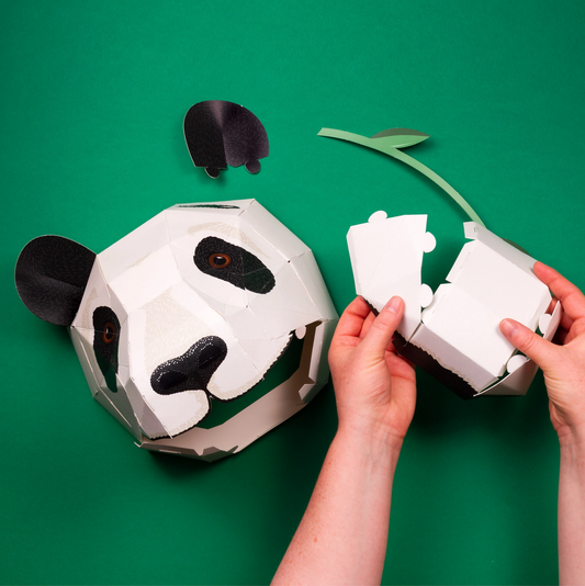 Cabeza Panda