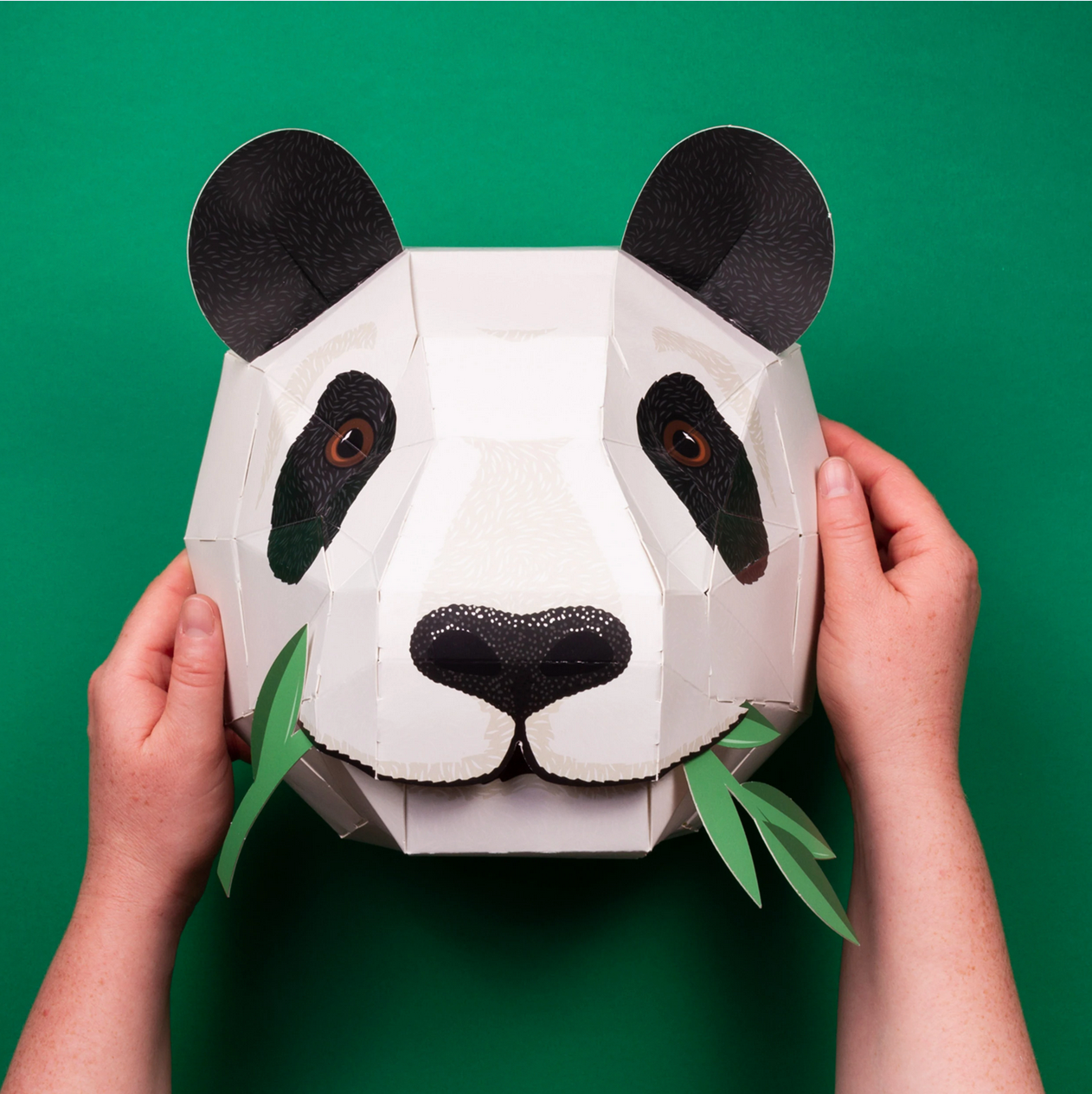 Cabeza Panda