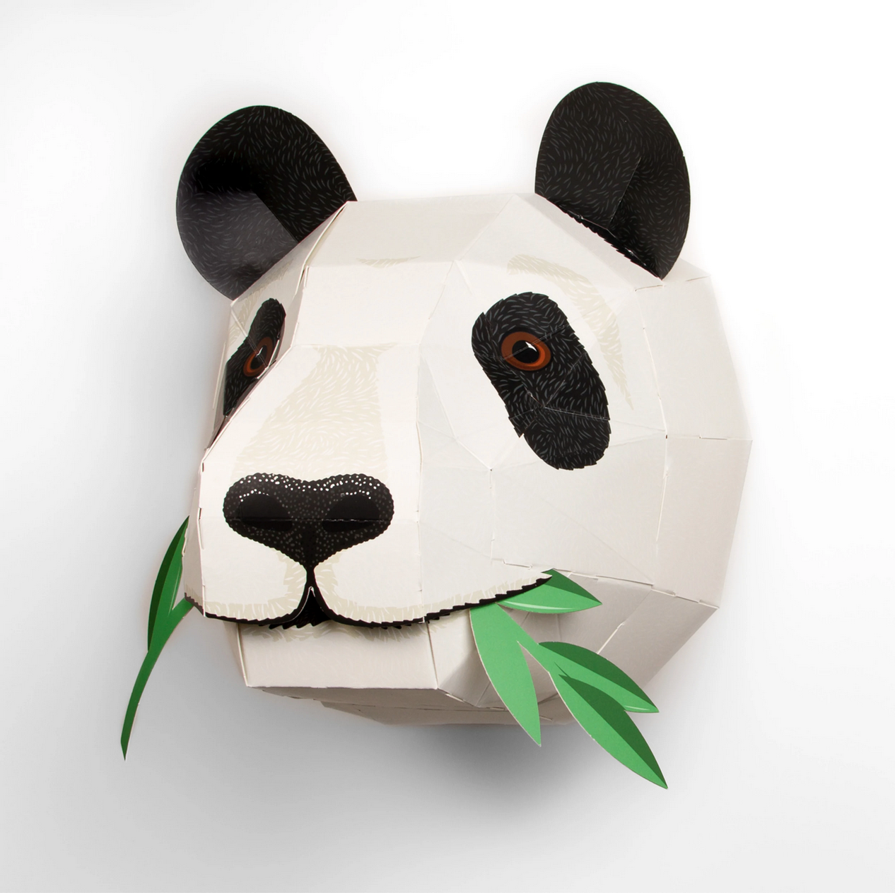 Cabeza Panda
