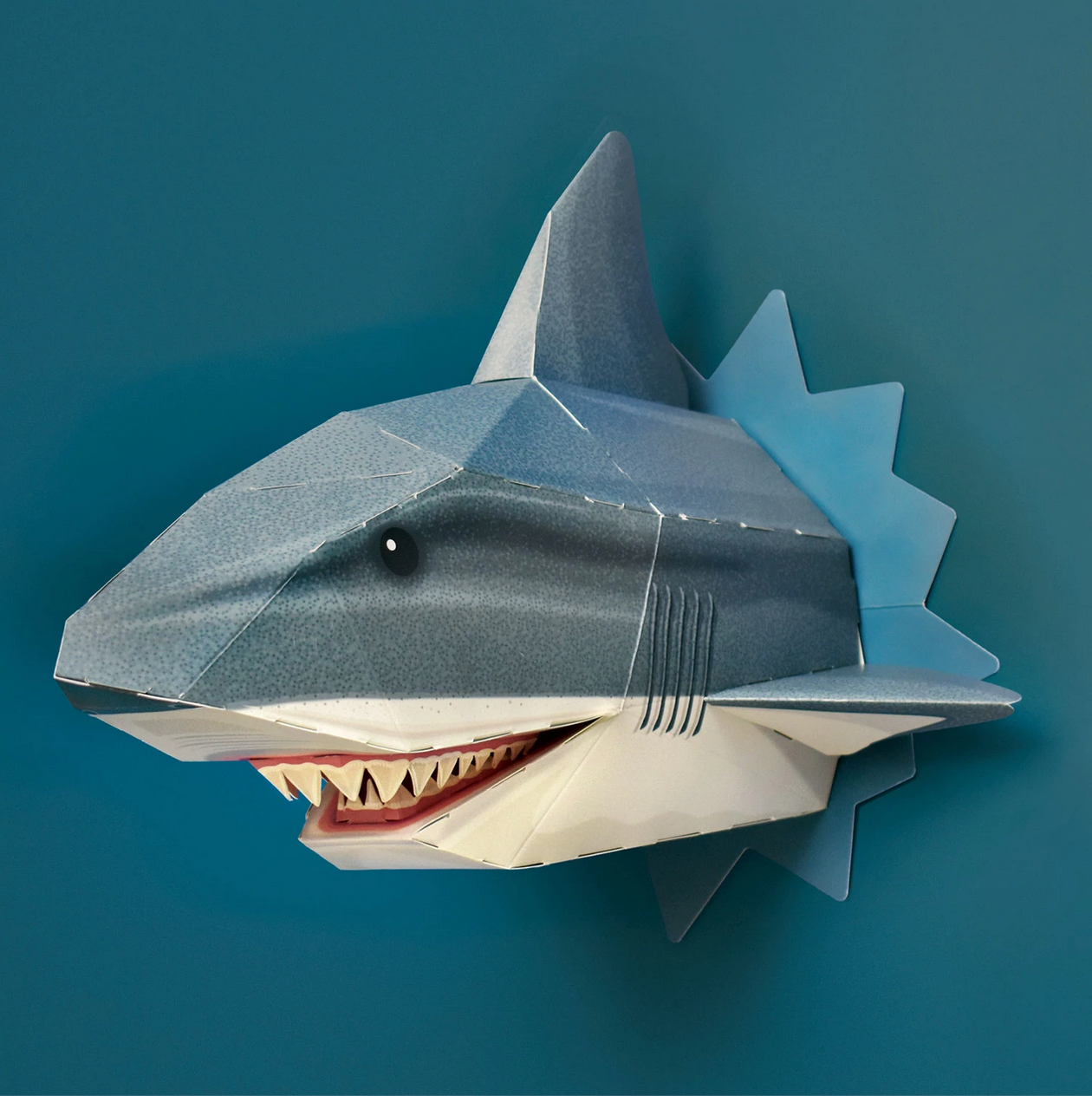 Cabeza Tiburón